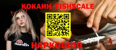 дмт Кингисепп
