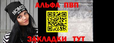 дмт Кингисепп
