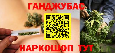 дмт Кингисепп